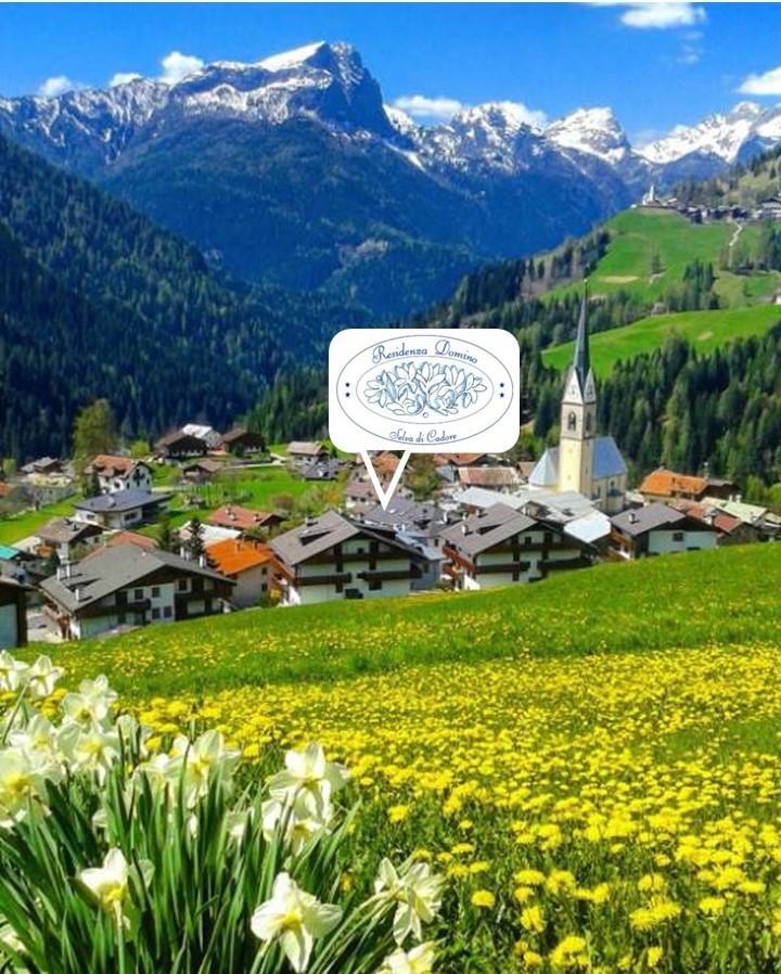 Residenza Domino Apart otel Selva di Cadore Dış mekan fotoğraf